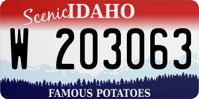 ID license plate W203063