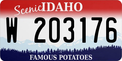 ID license plate W203176