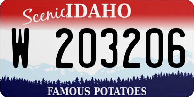 ID license plate W203206