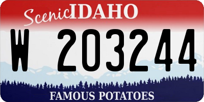 ID license plate W203244