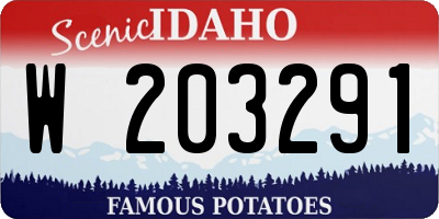 ID license plate W203291