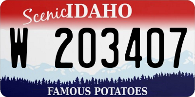 ID license plate W203407