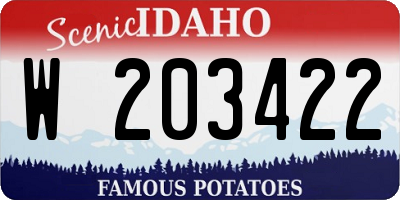 ID license plate W203422