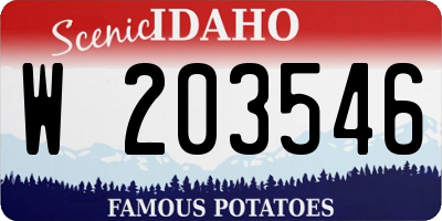 ID license plate W203546
