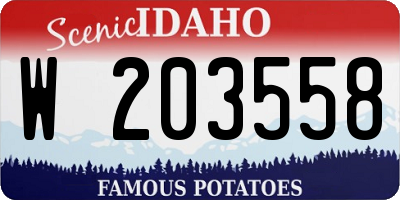 ID license plate W203558