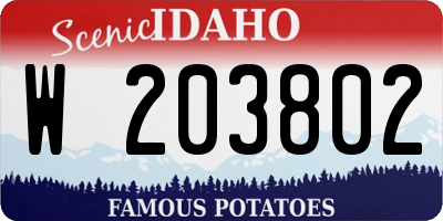 ID license plate W203802