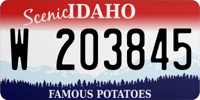ID license plate W203845