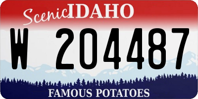 ID license plate W204487