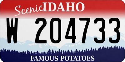 ID license plate W204733