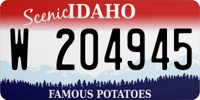 ID license plate W204945