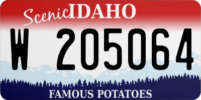 ID license plate W205064