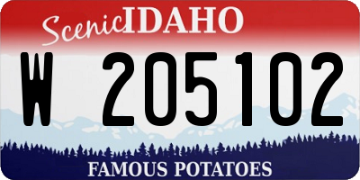 ID license plate W205102