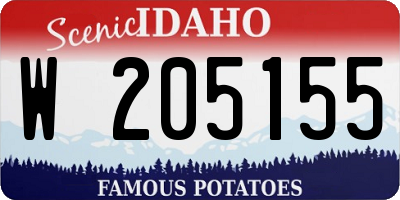 ID license plate W205155