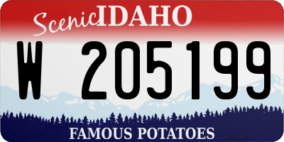 ID license plate W205199