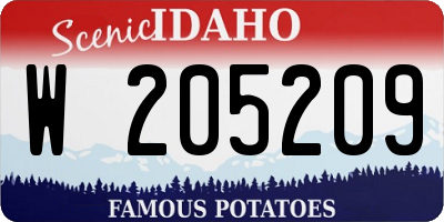 ID license plate W205209