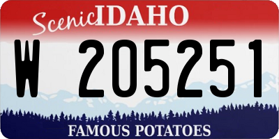 ID license plate W205251
