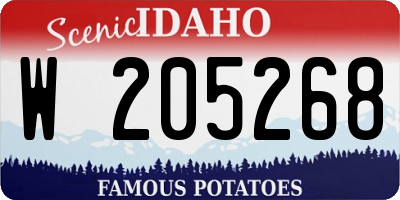 ID license plate W205268