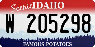 ID license plate W205298