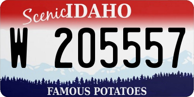 ID license plate W205557