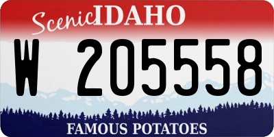 ID license plate W205558