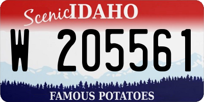 ID license plate W205561