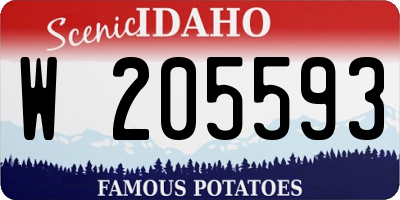 ID license plate W205593