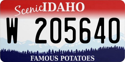 ID license plate W205640