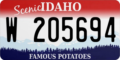 ID license plate W205694