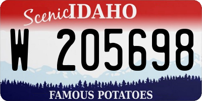 ID license plate W205698