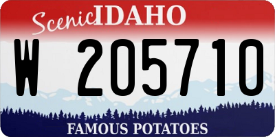 ID license plate W205710