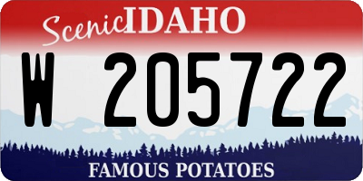 ID license plate W205722