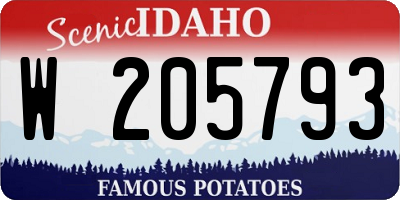 ID license plate W205793