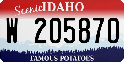 ID license plate W205870
