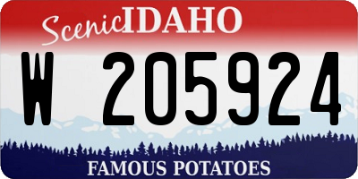 ID license plate W205924