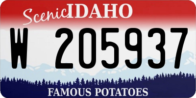 ID license plate W205937