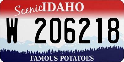 ID license plate W206218