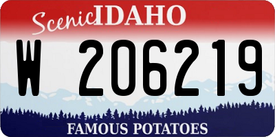 ID license plate W206219