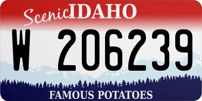 ID license plate W206239
