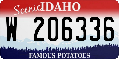 ID license plate W206336