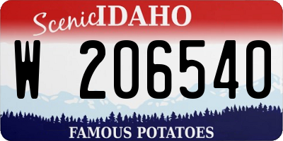ID license plate W206540