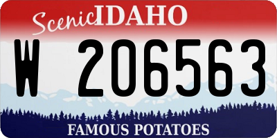 ID license plate W206563