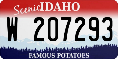 ID license plate W207293