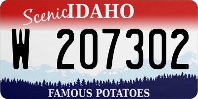 ID license plate W207302