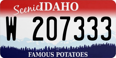 ID license plate W207333