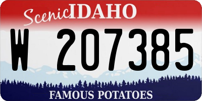 ID license plate W207385