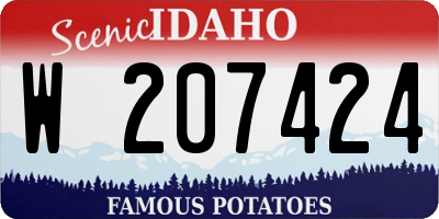 ID license plate W207424