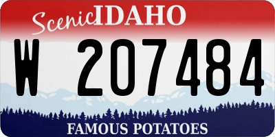 ID license plate W207484