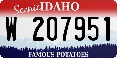 ID license plate W207951
