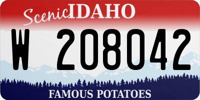 ID license plate W208042