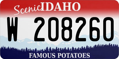 ID license plate W208260